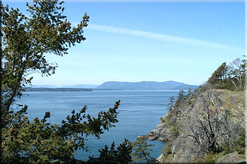 Whale of a View, North Pender Island Accommodation