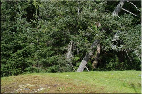 Whale of a View, North Pender Island Accommodation