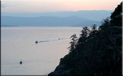 Whale of a View, North Pender Island Accommodation